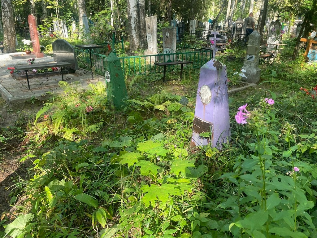 Костюнина Анна Ивановна